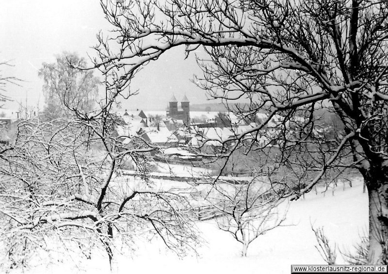 1951 Blick auf den Brauereiteich im Winter. 